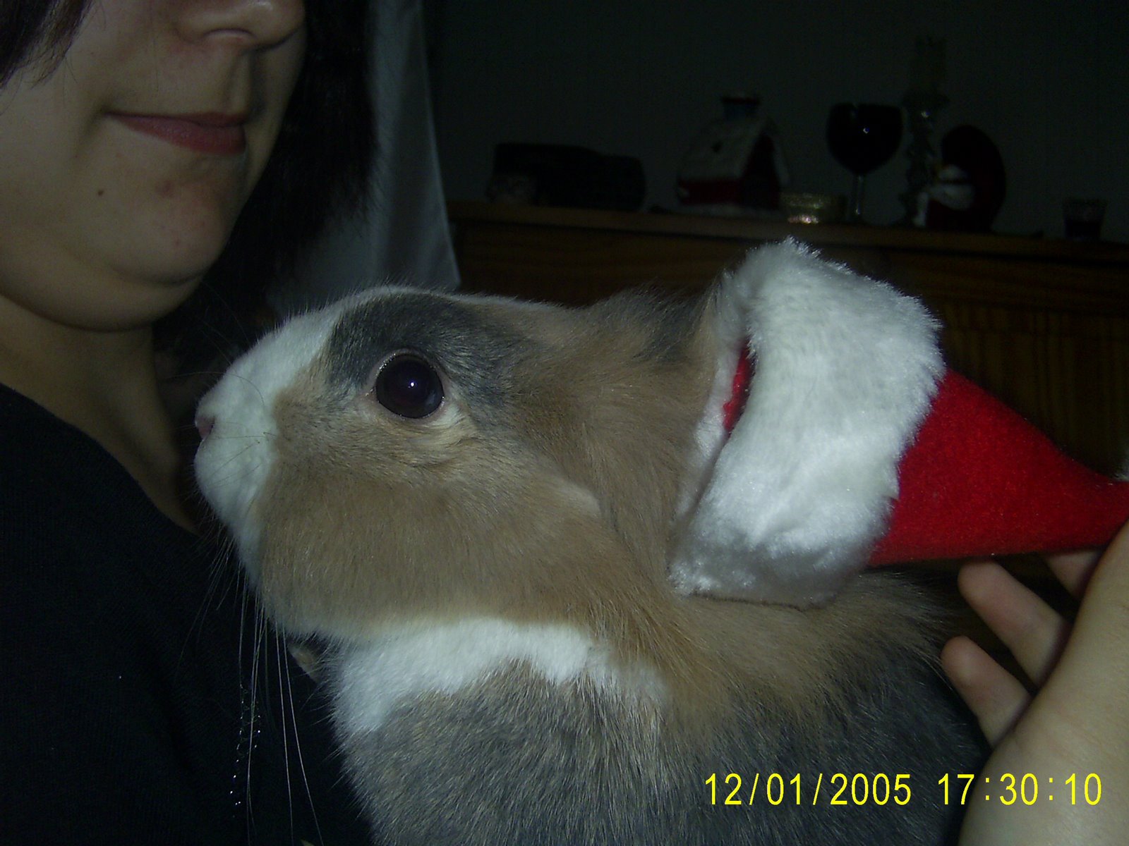 [PIC_0099.JPG]
