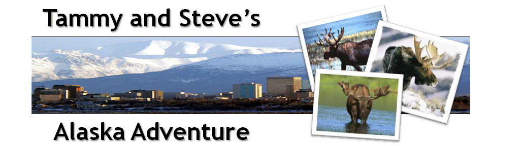 Tammy and Steve's Alaska Adventure!