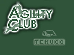 AGILITY CLUB