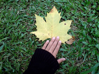 Enjoy Autumn Leaves @ Charade