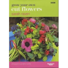 Grow Your Own Cut Flowers