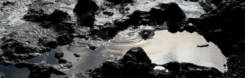 [IMG_3925.JPG]