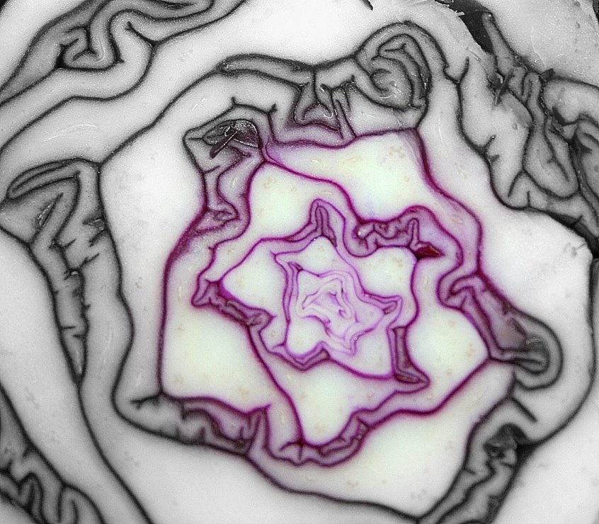 [fractal+4.JPG]