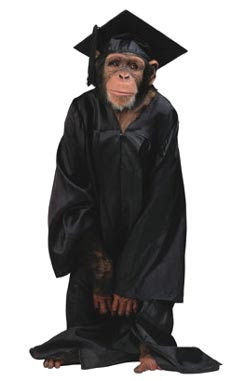 Jungle african KI Media: Monkey got PhD Monkeys clap: Life in the Banana Kingdoom