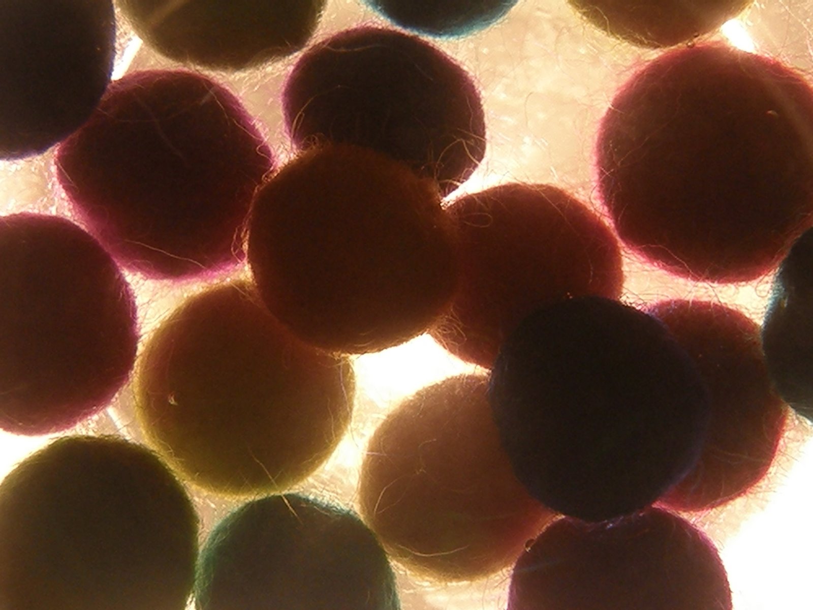 [P4251372.JPG]