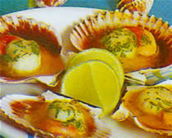 conchitas a la mantequilla recetas