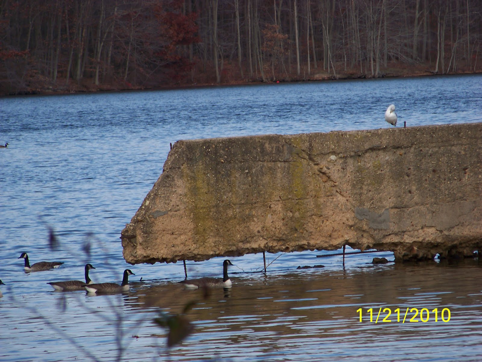 Up. Bicentennial Park, East Brunswick Visit
