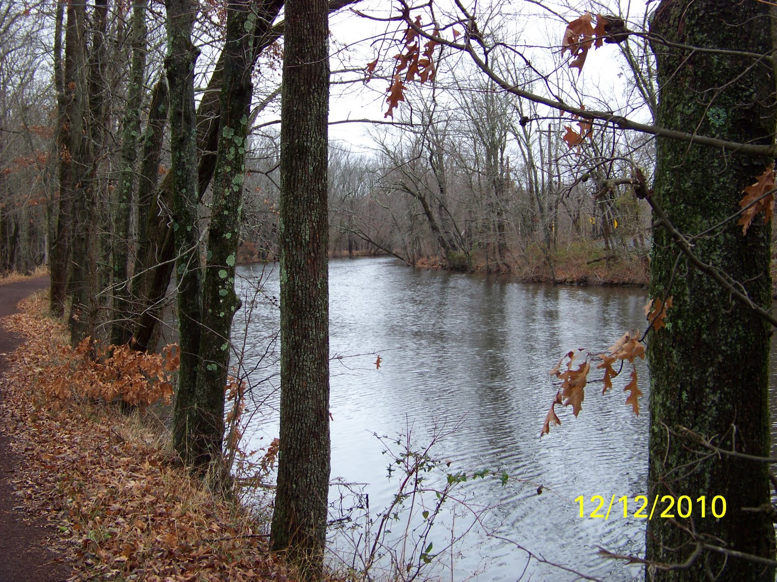 Up. Rainy December Weekend