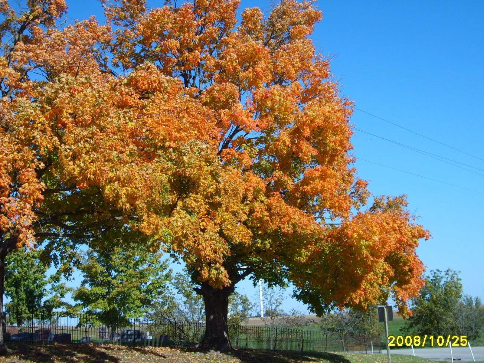 [Fall+pictures+010.jpg]