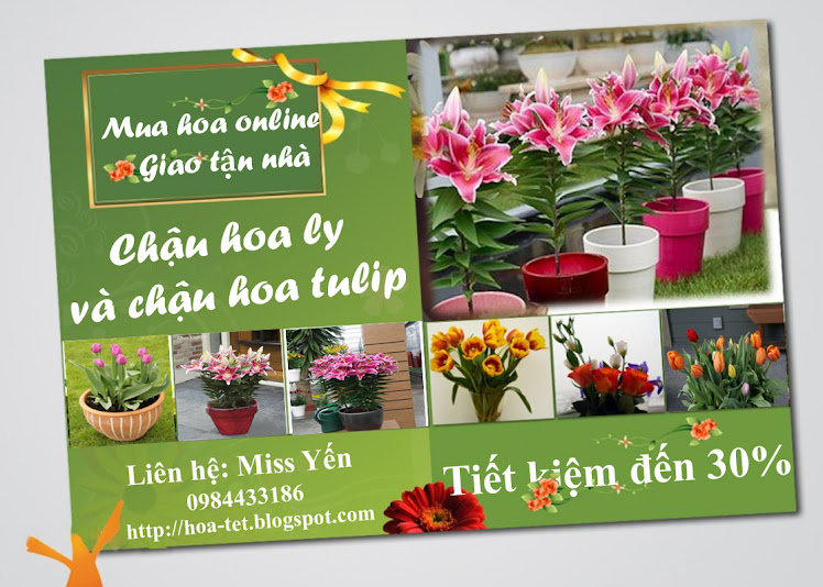 Hoa tết online