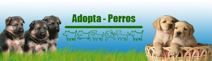 Adopta Perros