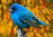 My Photo