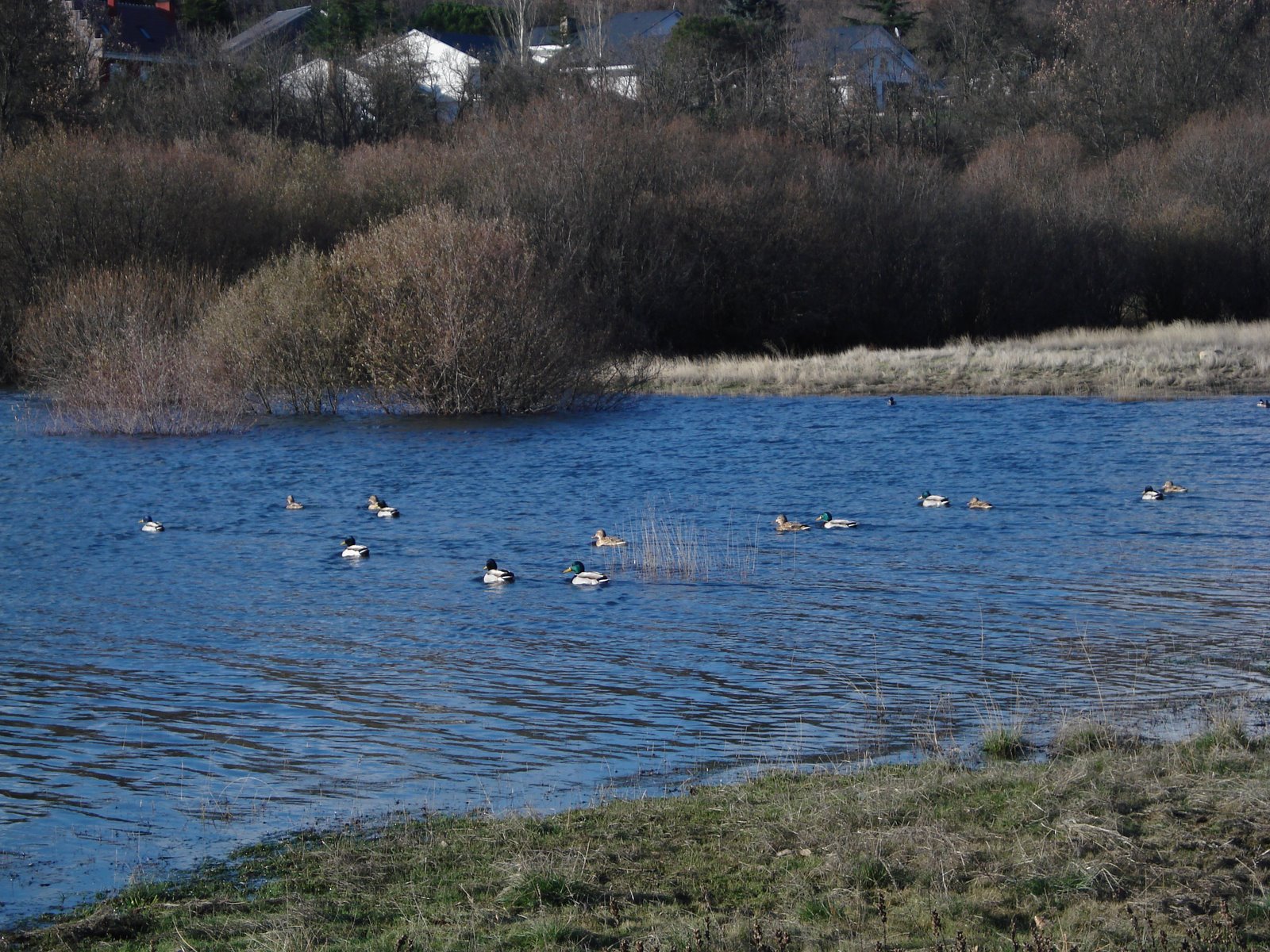 [3-Navacerrada-19.12.06.JPG]