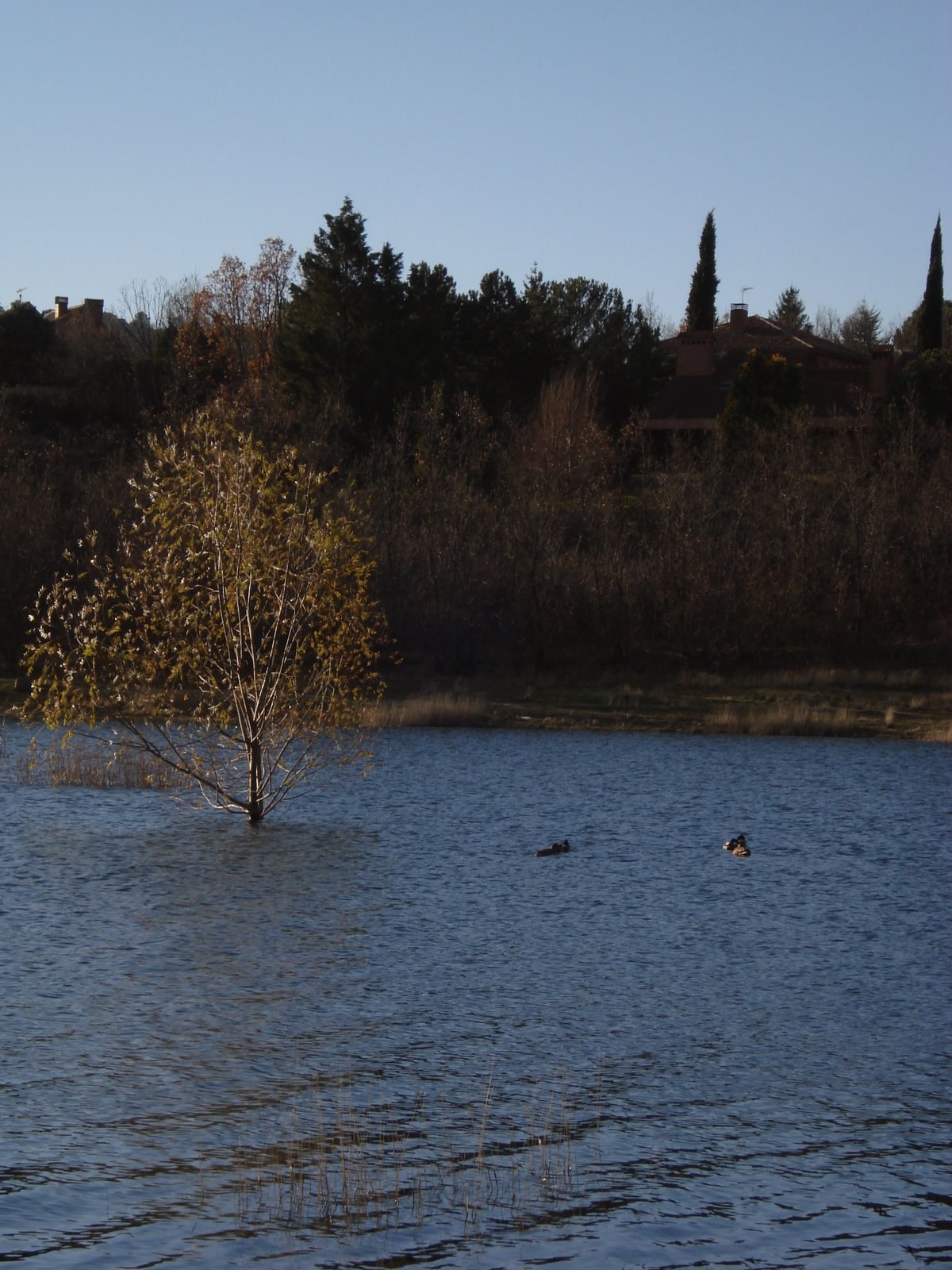 [4-Navacerrada-19.12.06.JPG]