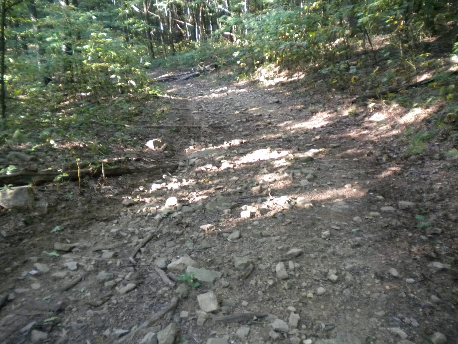 [Rowland+Creek+Trail+2.JPG]