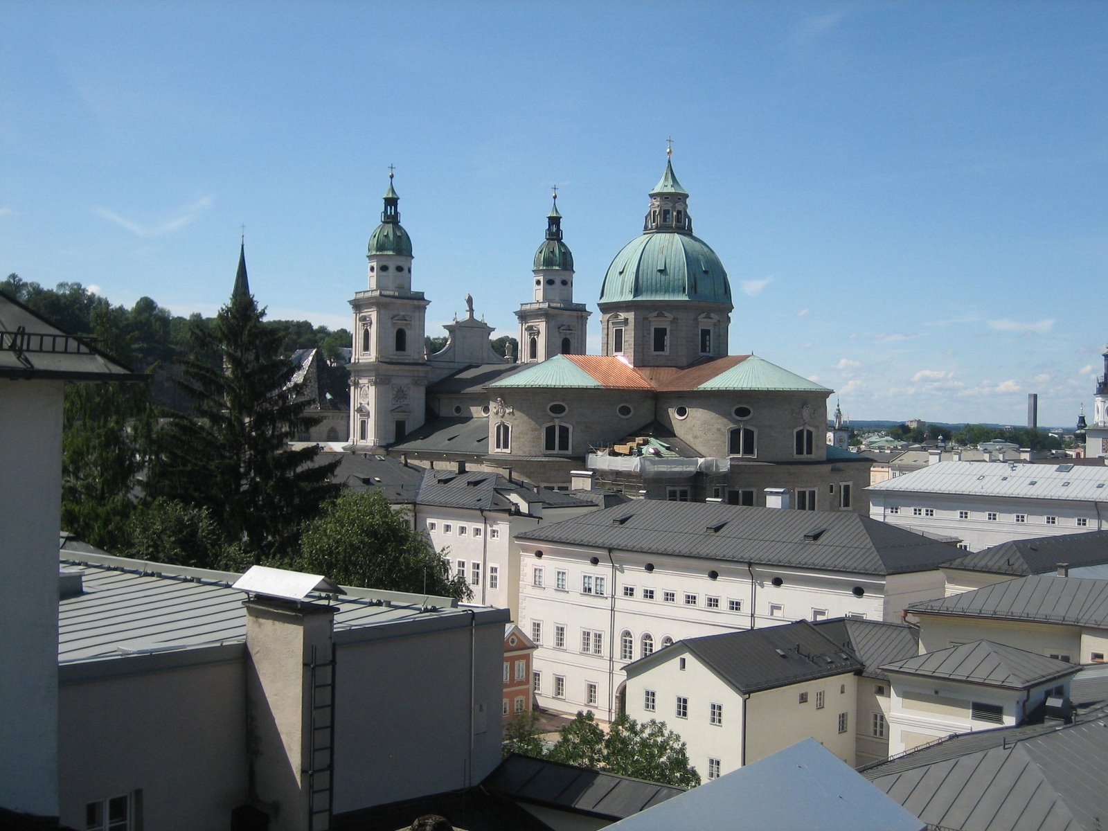 [IMG_5244.JPG]