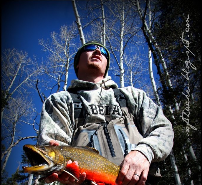 SoftHacke Brook Trout, Boulder Mountains, and BS