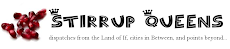 Stirrup Queen's List of Blogs
