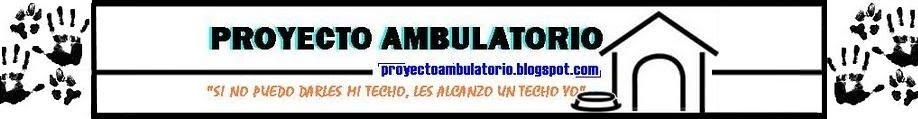 PROYECTO AMBULATORIO