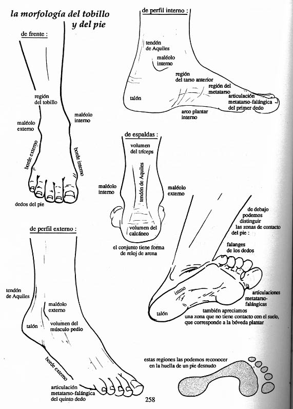 corriendo a todo correr problemas y soluciones del pie tipos de pisada