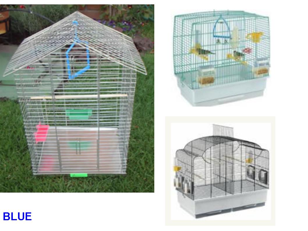 Jaulas+Para+Pajaros+De+Miami pájaros jaulas para aves adquirir jaulas aves comprar jaulas aves