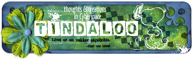 Tindaloo in CyberSpace