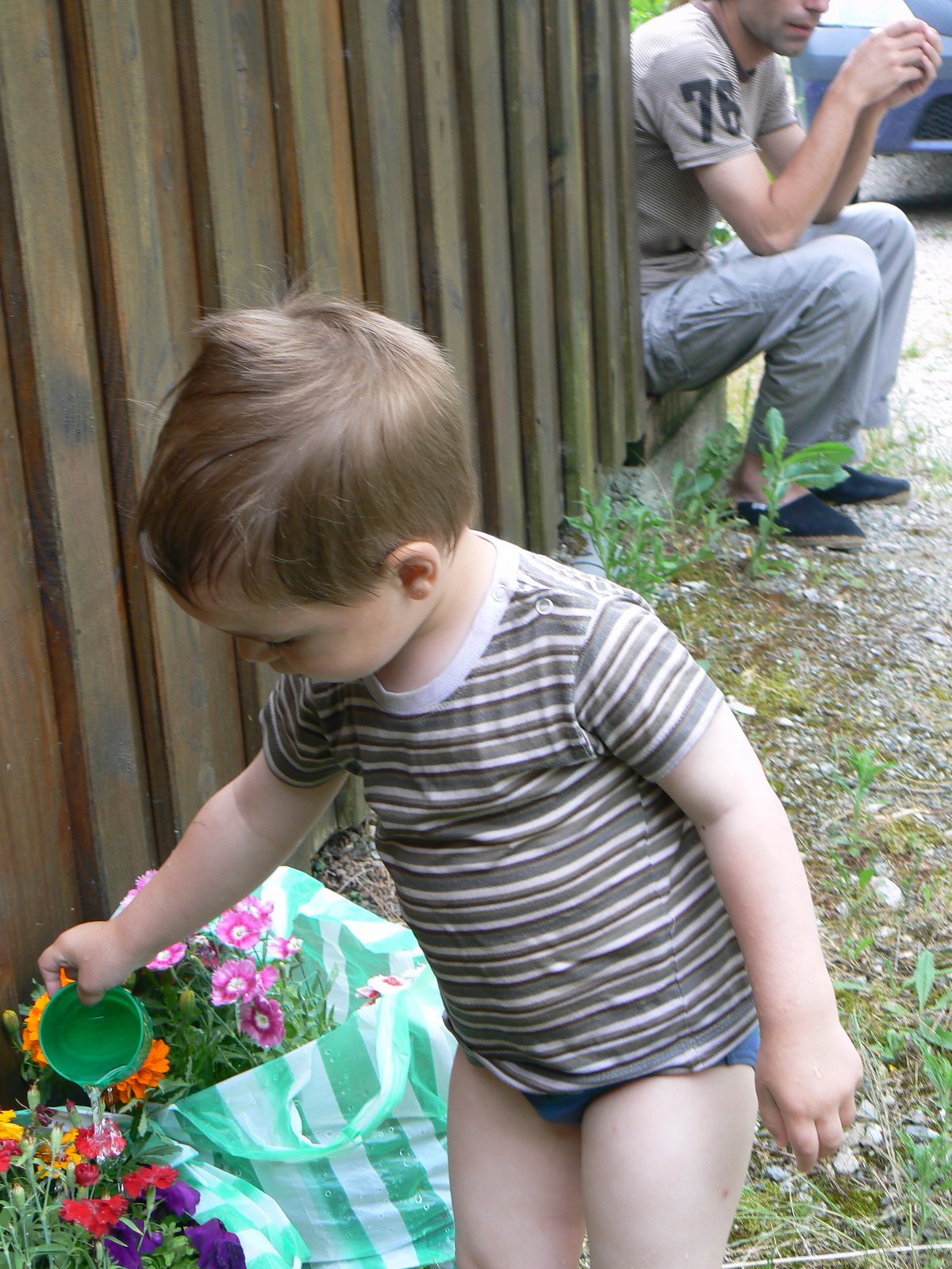 [P1090823.JPG]