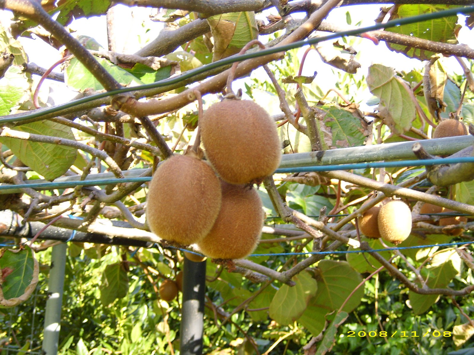 [DSCI0319.JPG]