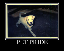 Pet Pride
