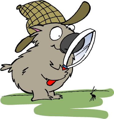 explanation whenever they