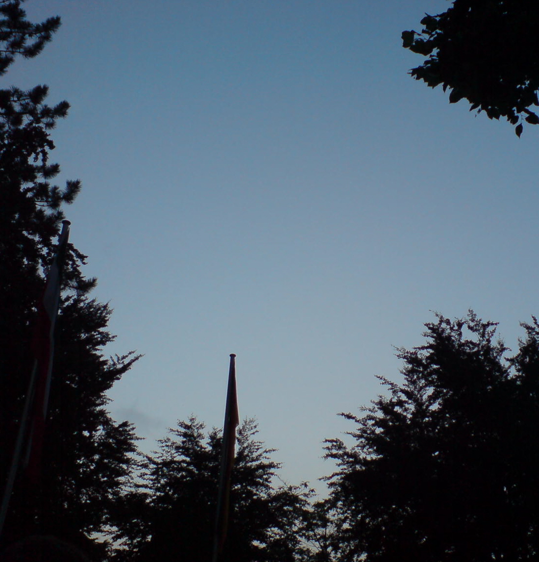 Coronavirus Themenseite