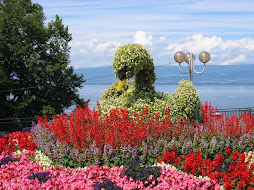 Lago di Ginevra, sponda francese