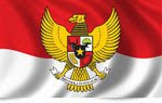 Indonesian Partiipant