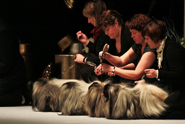 STOCKHOLM DOG FAIR 2010- Constant Grooming