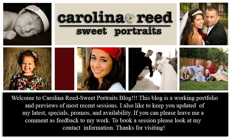 Sweet Portraits-Carolina Reed
