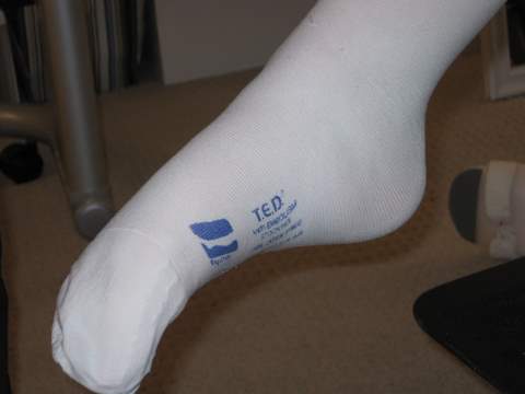 Ted Socks