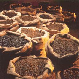 Sacos De Cafe