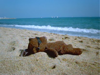 me on the Riviera nude sunbathing teddy bear