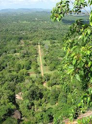 View of the gardens from Top  of Sigriya
