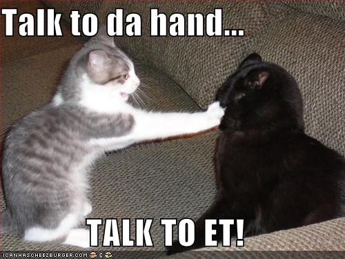 cat-talk-to-the-hand.jpg