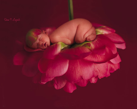 sleeping flower