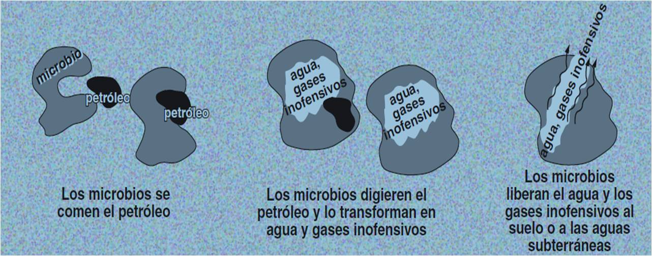 basura basura