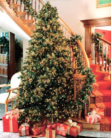 live christmas trees can trigger mold allergies on yahoo health - How Long Do Live Christmas Trees Last live christmas trees can trigger mold allergies on yahoo health - How Long Do Live Christmas Trees Last