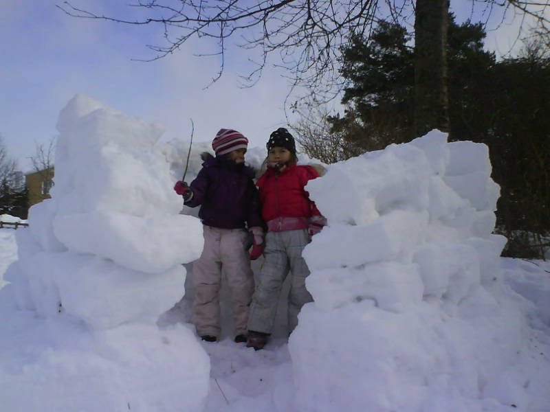 [image-upload-8-728966.jpg]