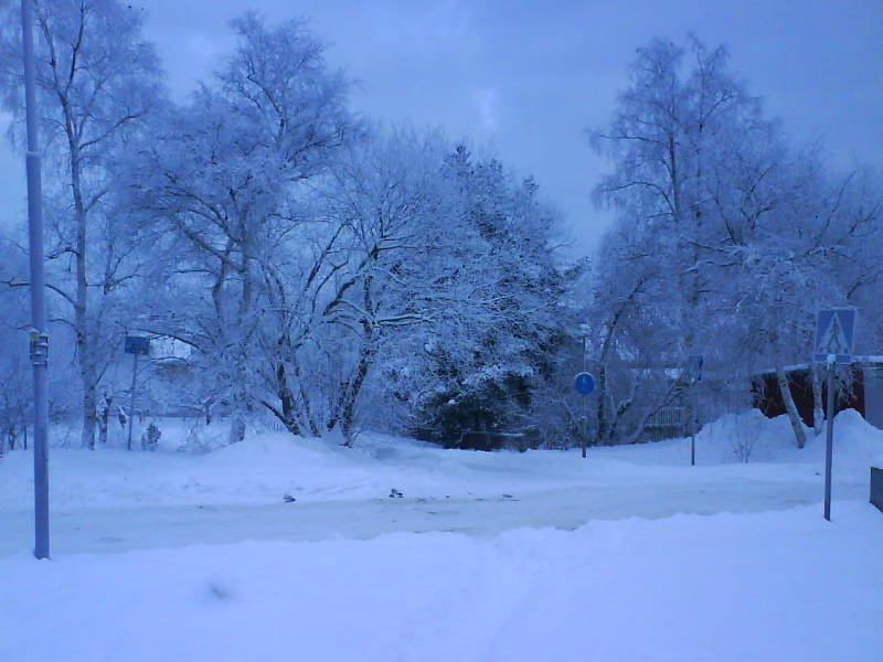 [image-upload-301-744087.jpg]