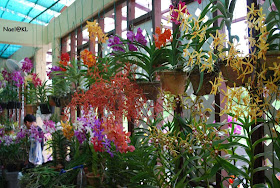 Kuala Lumpur Putrajaya Labuan Dunia Orkid Taman Orkid Kl