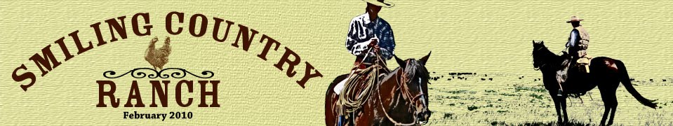 Smiling Country Ranch