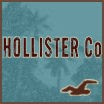 HoLLIsTeR Co