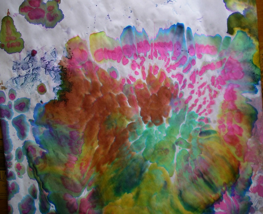 [Freezer.Paper.Used.4.Drying.Paper.TowelsB.Feb2007.JPG]