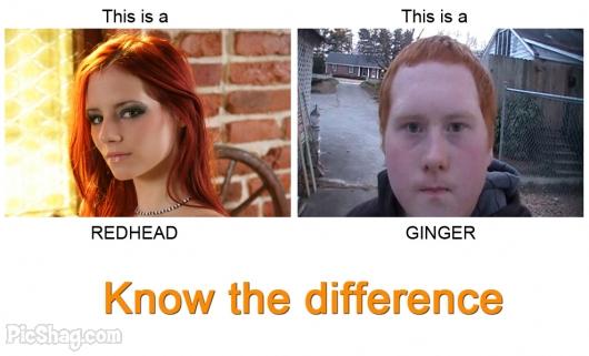 redhead-vs-ginger.jpg